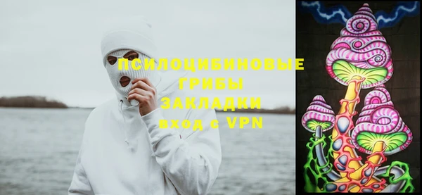 мяу мяу мука Беломорск