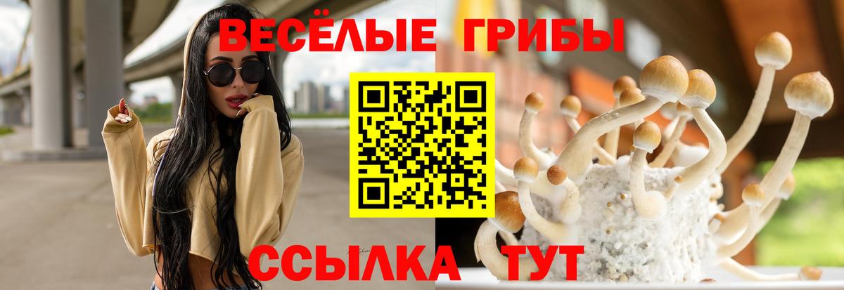 Воркута  Псилоцибиновые грибы мухоморы  Псилоцибиновые грибы MAGIC MUSHROOMS  Вход с VPN 